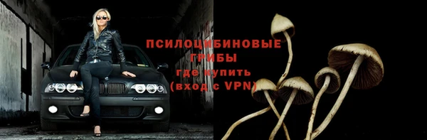 2c-b Абинск