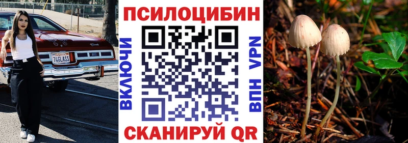 продажа наркотиков  гидра вход  Галлюциногенные грибы ЛСД  Карабаново 